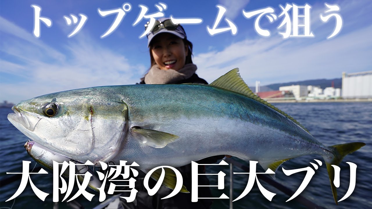 ジャイアントベイトで狙う　大阪湾のブリトップゲーム