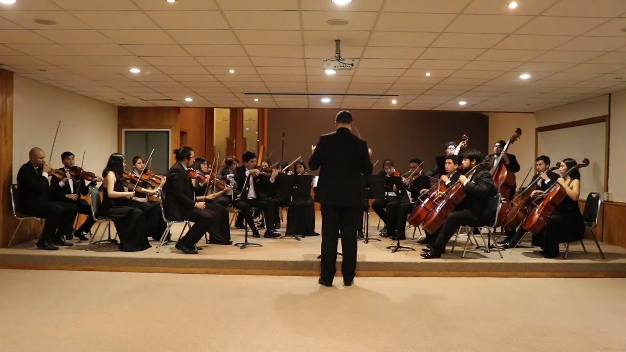 GYULA BELICZAY SERENATA PARA CUERDAS PARTE 1