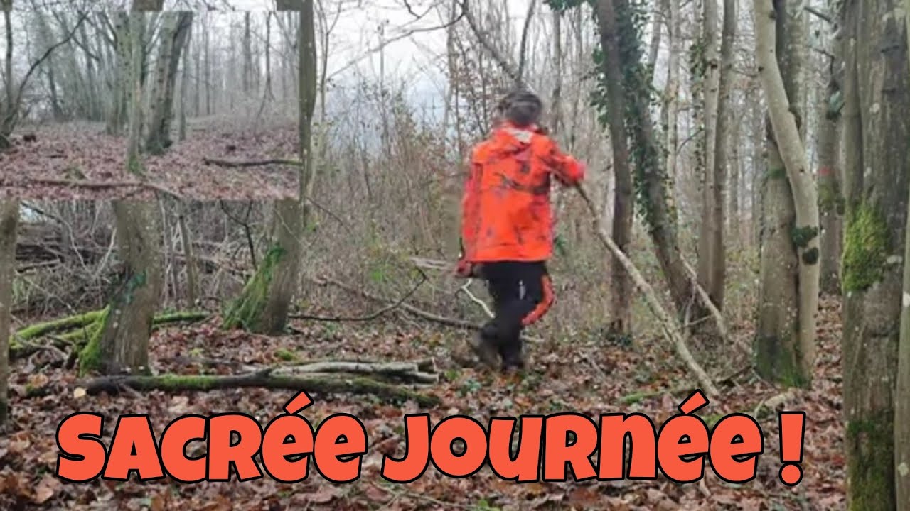 journée bucheron bois de chauffage