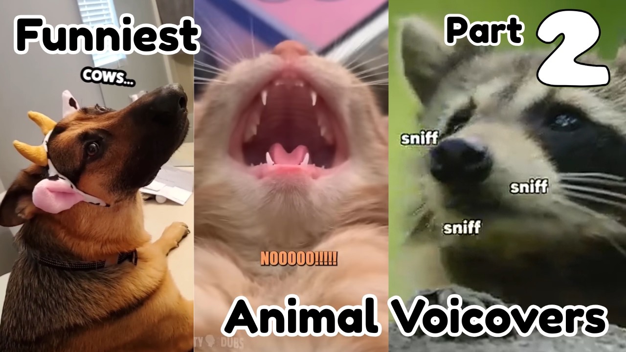 Funniest Animal Voiceovers On The Internet Part 2