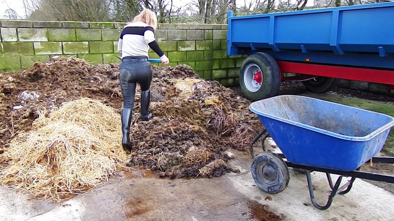 Video 1a - Mucking-out - Taster