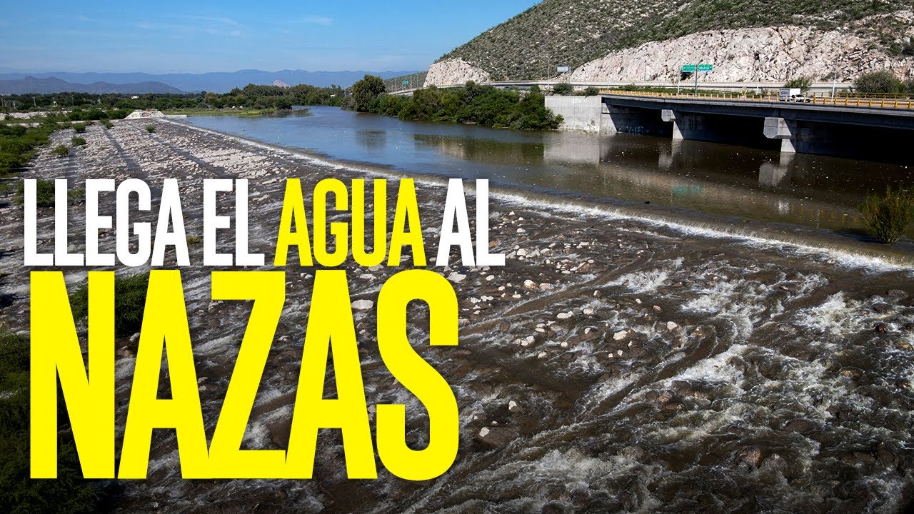 Llega el agua al río Nazas y revive a La Laguna