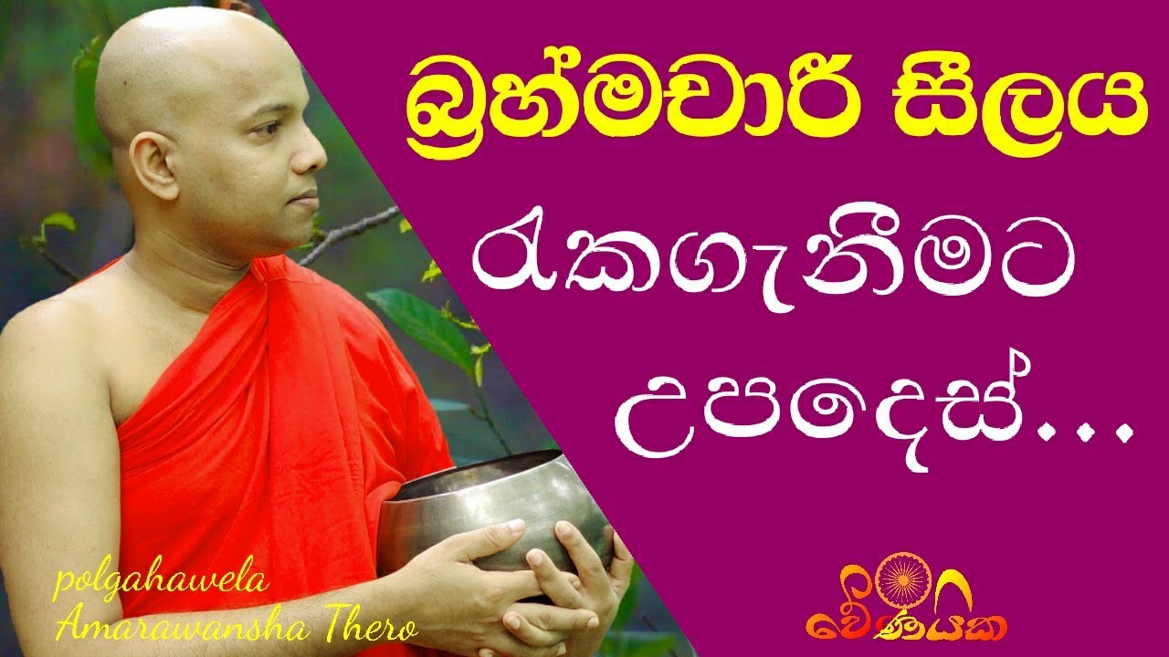 බ්‍රහ්මචාරී සීලය රැකීමට දැනගතයුතු දේවල් |   Celibate Sil, Advice to Preserve  | wenayika