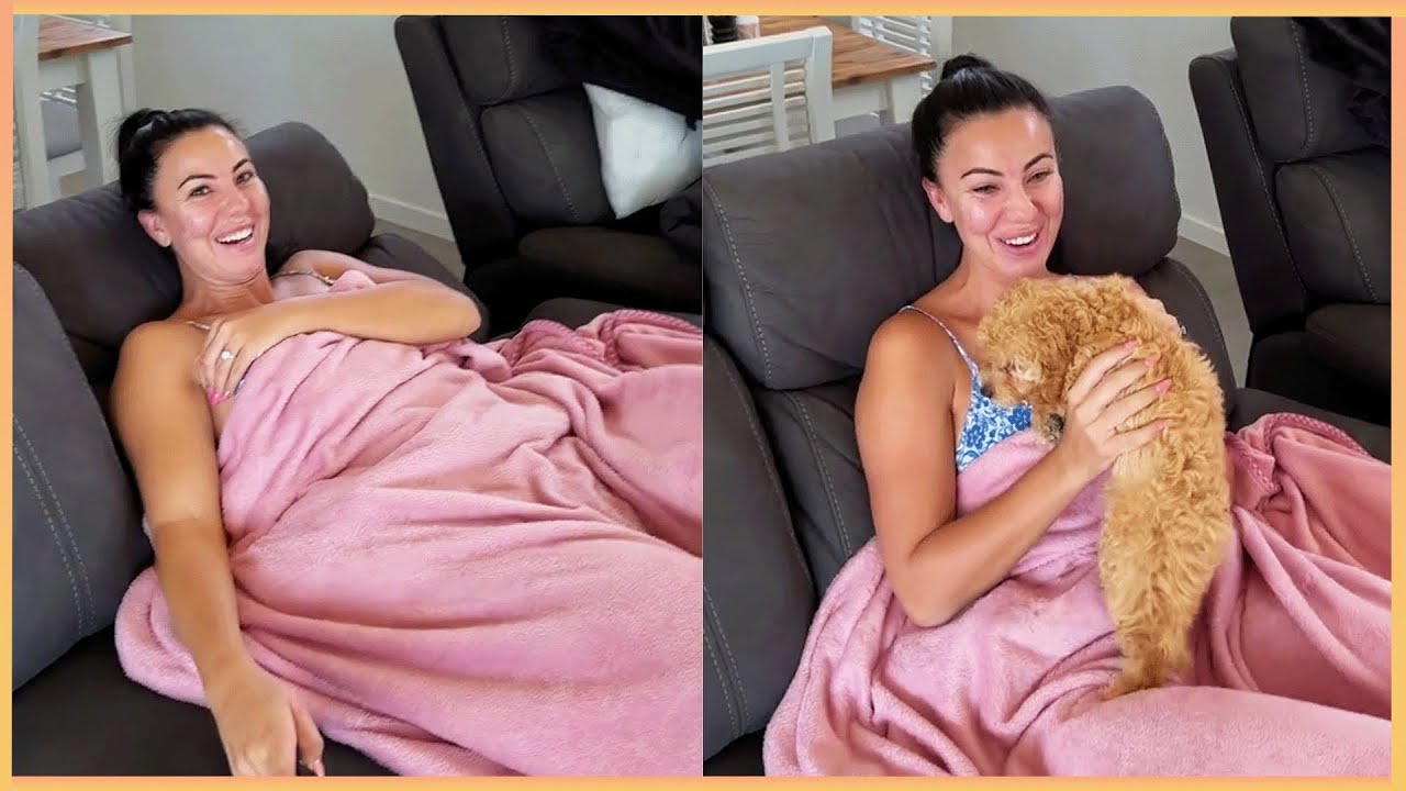 New Puppy Surprise Compilation 2024 | Wholesome Surprise Moments
