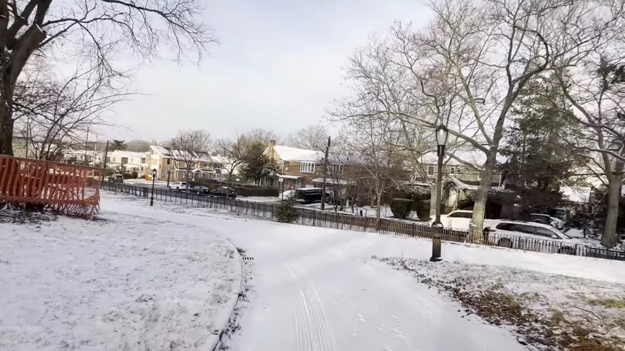 Queens New York Kissena Park.🪵