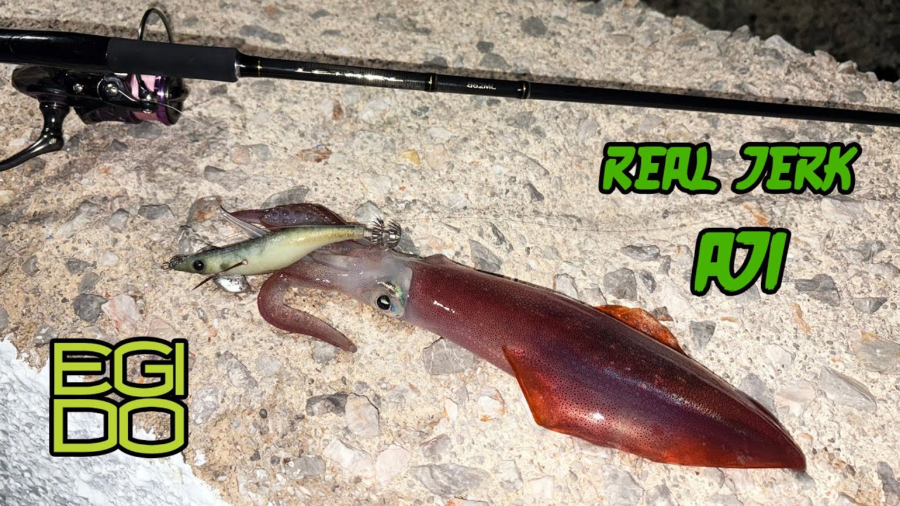 Η καλαμαριέρα... Σαφρίδι! Egido Real Jerk Normal Aji