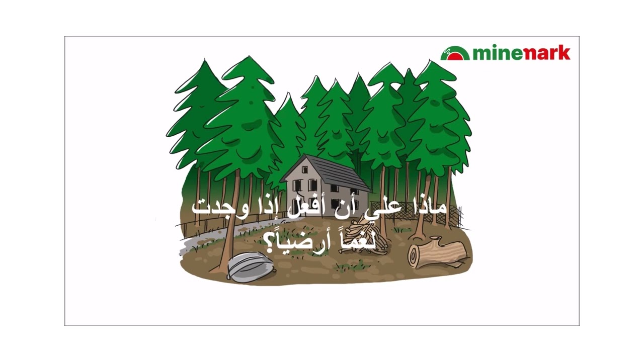 التثقيف بمخاطر الذخائر المتفجرة - Mine Mark