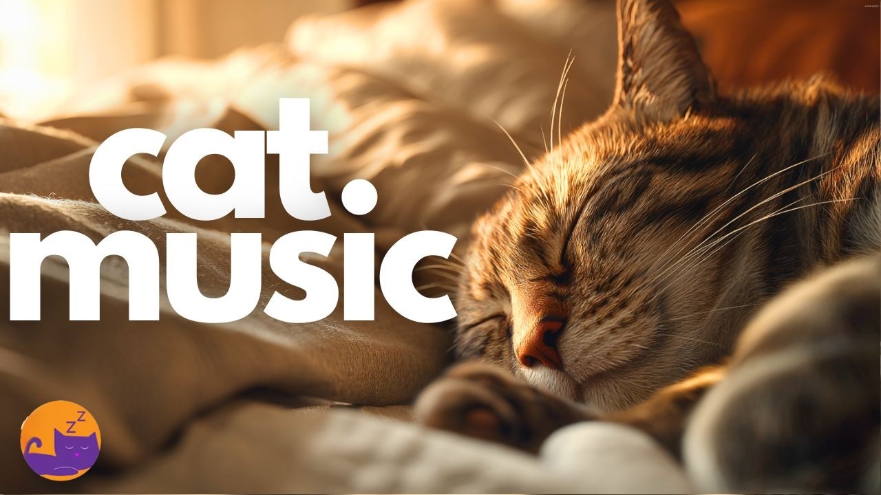 Leave This Playing for Your Cat ❤️ Calm, Comfort & Sleep Music 🐱