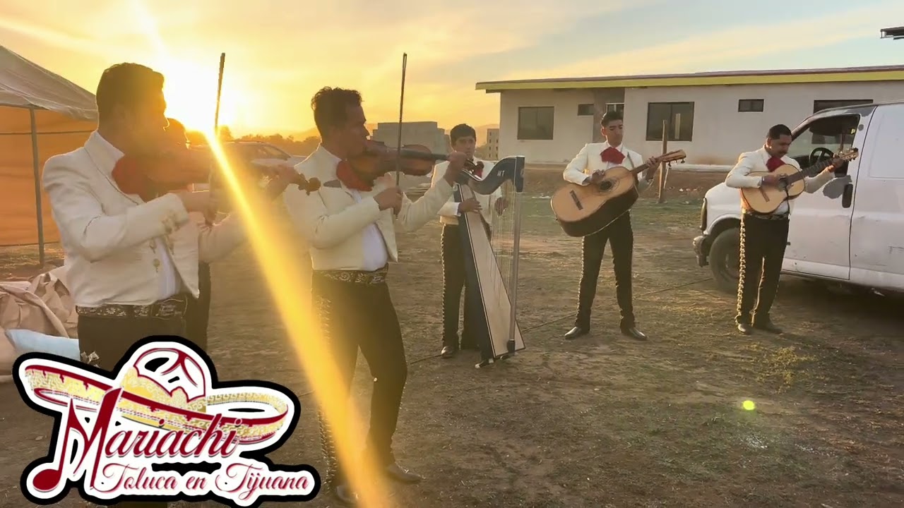 #mariachitolucaentijuana  #mariachisentijuana 