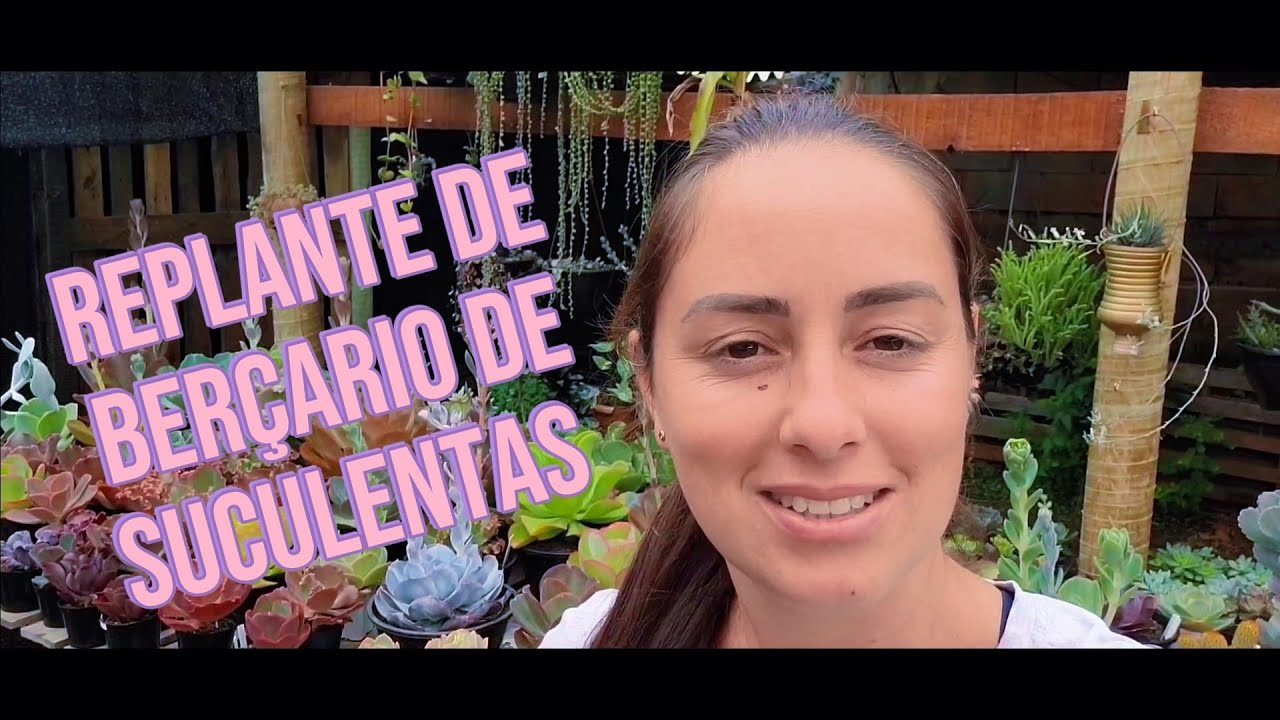 Replante de berçário de Suculentas.