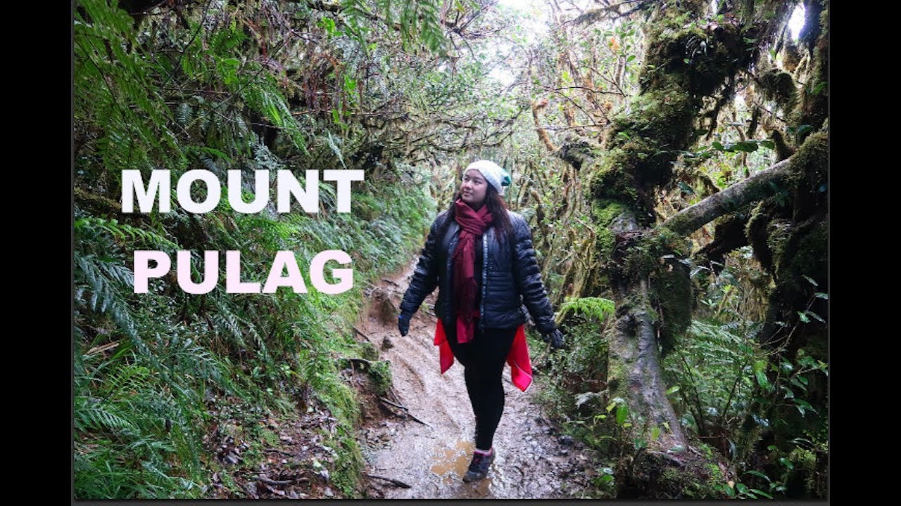 Vlog#6: MT. PULAG ADVENTURE 2017 (Part 1) | Nyssa Chung