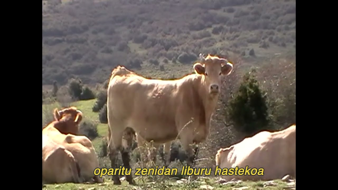 Borla - Berandu Egin Da