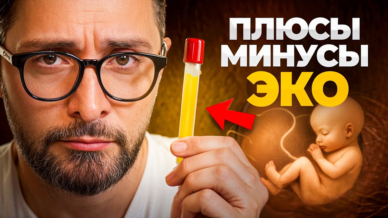 Что такое ЭКО простыми словами, плюсы и минусы такого типа зачатия