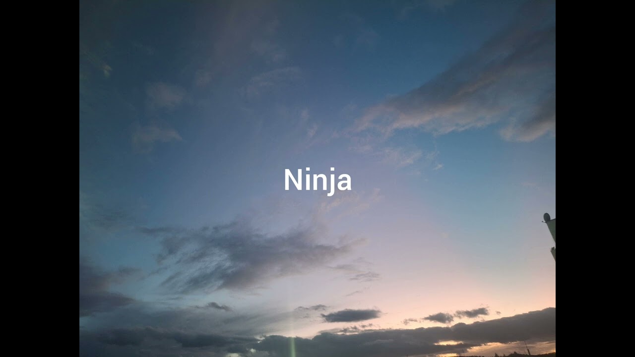 Ninja