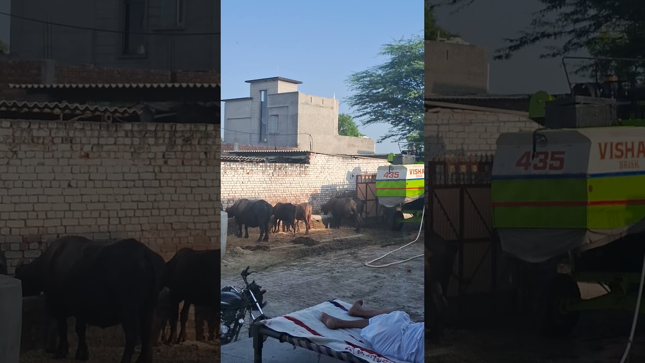 ARSH DAIRY FARM
