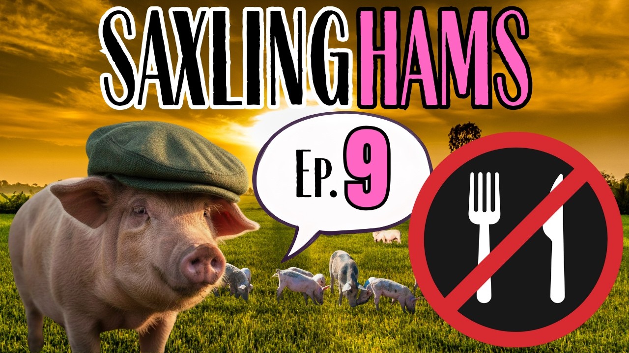 У этого маленького поросёнка ничего не было | SaxlingHAMs | #9 | Farming Simulator 25