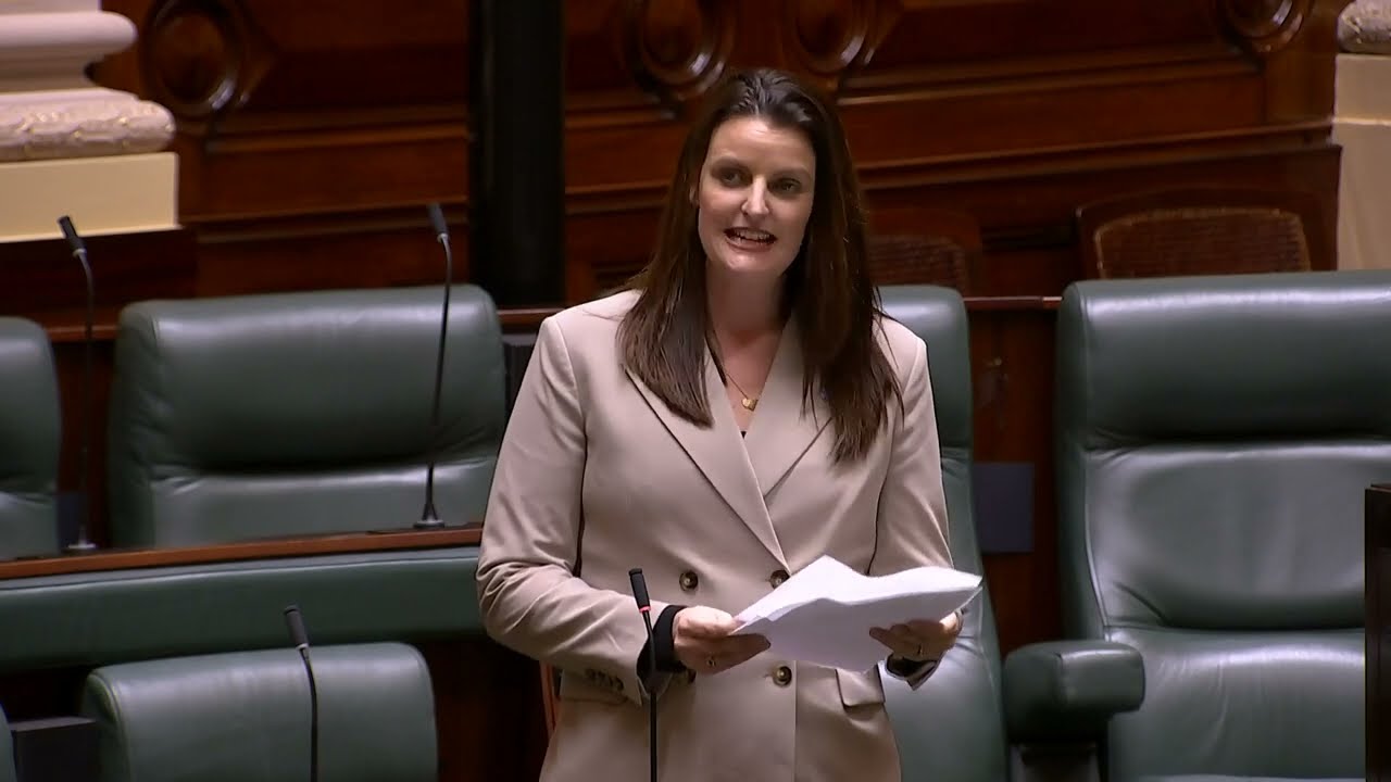 Adjournment: Patient Transport Reform (17/06/2025)