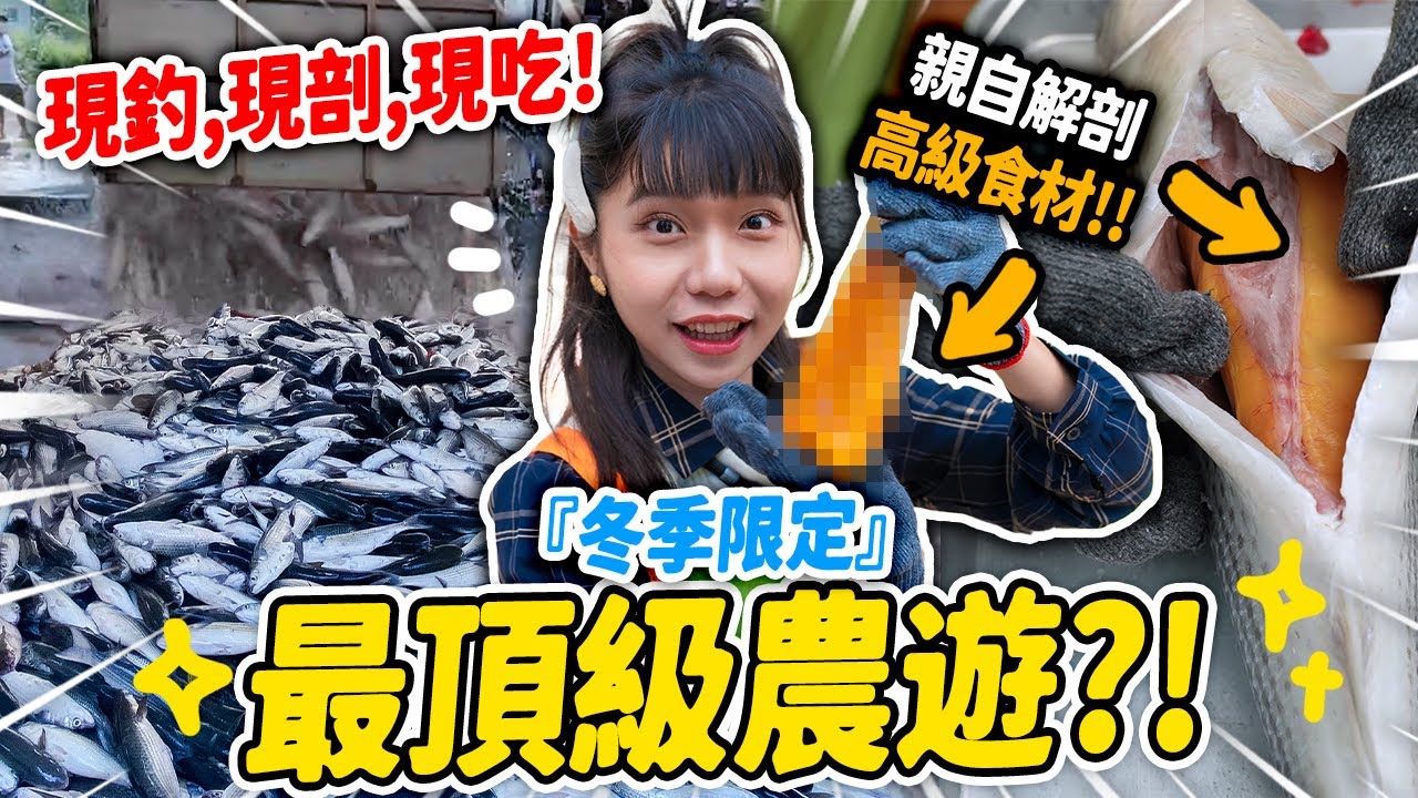 一年ㄧ次超限定✨烏魚瀑布(太爽了🤤) 烏魚子原來這樣挑，這樣料理最好吃！｜最酷一日農遊