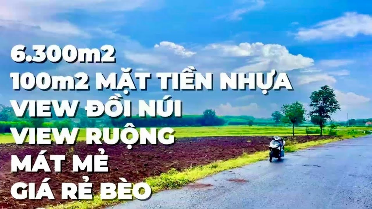 Gồng lãi đắm đuối nhiều năm chịu hết nổi A Duy hạ giá 450 triệu bán gấp đất vườn BRVT