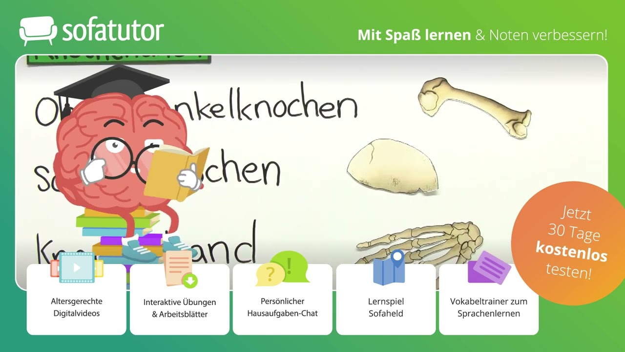 Das Skelett einfach erklärt – Sachunterricht