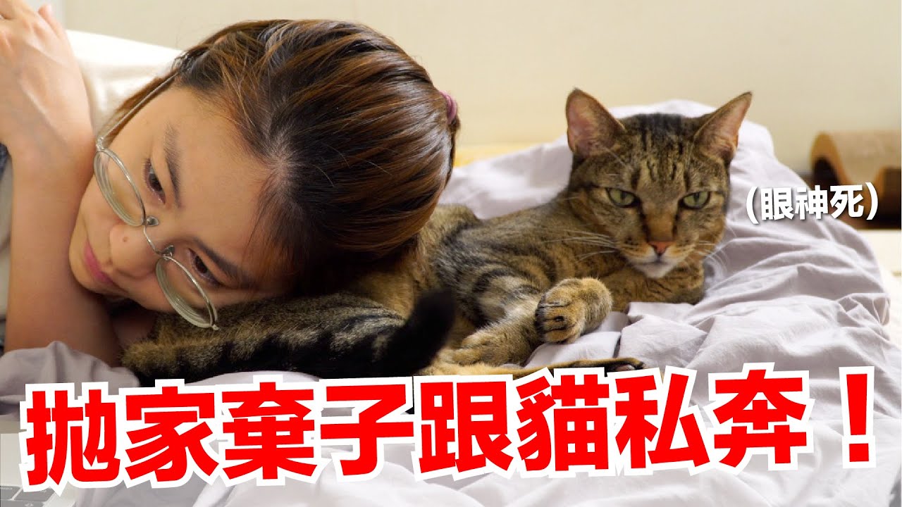 【好味小姐】不管了！拋家棄子跟貓私奔！｜好味貓日常EP109