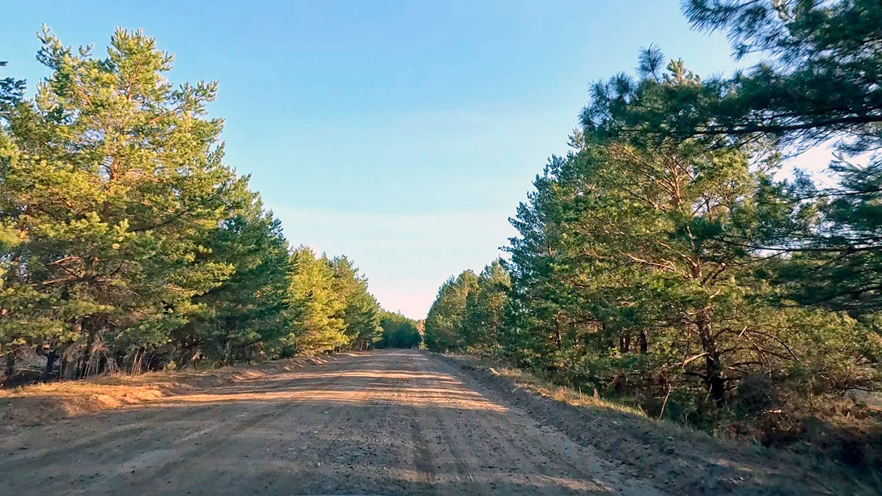 [4K] Siberian Drive Ep. 21 — From Deep Forest Back to Town | Birds Singing, No Music, No Talking