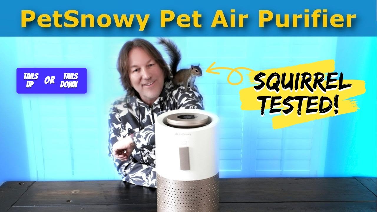 Riley the Squirrel Helps Me Test the PetSnowy Air Purifier!