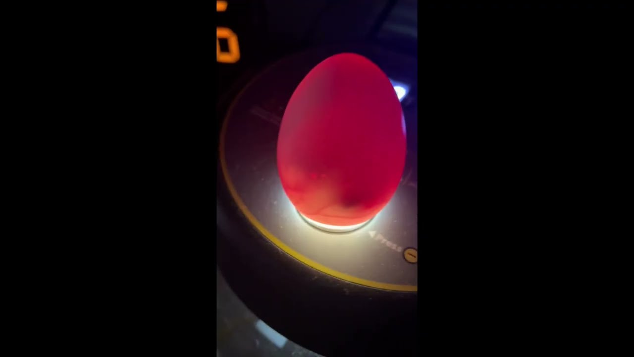 Hatching Day