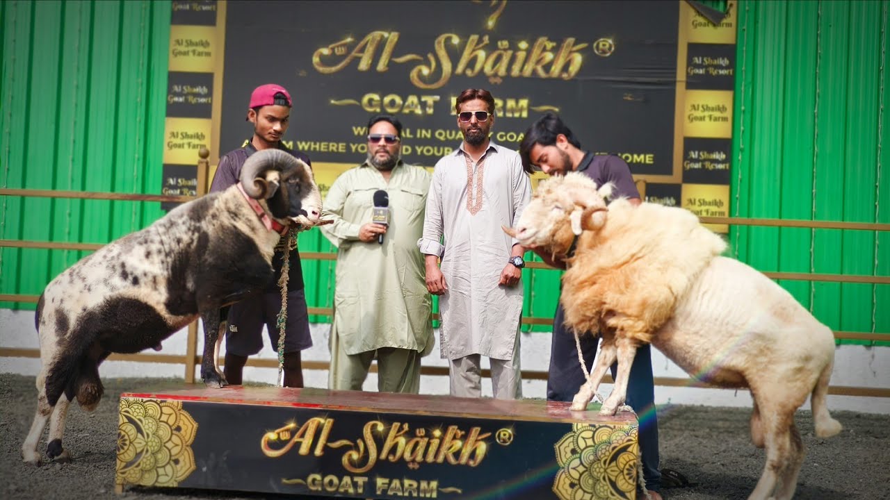 Al Shaikh Goat Resort के Dhurandhar Mende 