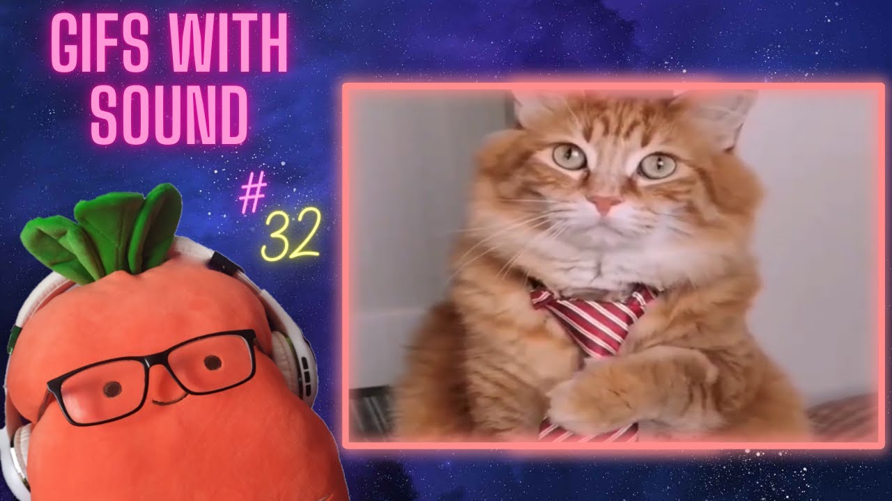 🔥 Gifs with Sound & COUB mix!🔥 #32