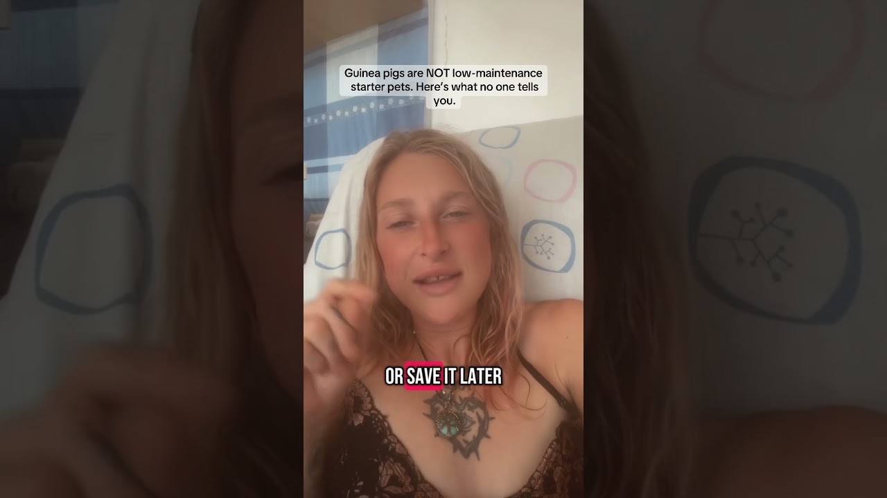#petcare