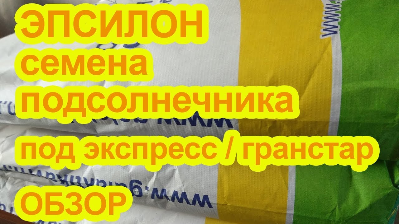 ЭПСИЛОН гибрид подсолнечника под Экспресс /  Гранстар обзор семян