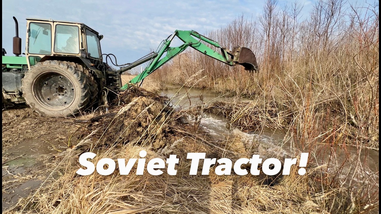 Медлительная черепаха справляется с бобровыми плотинами.