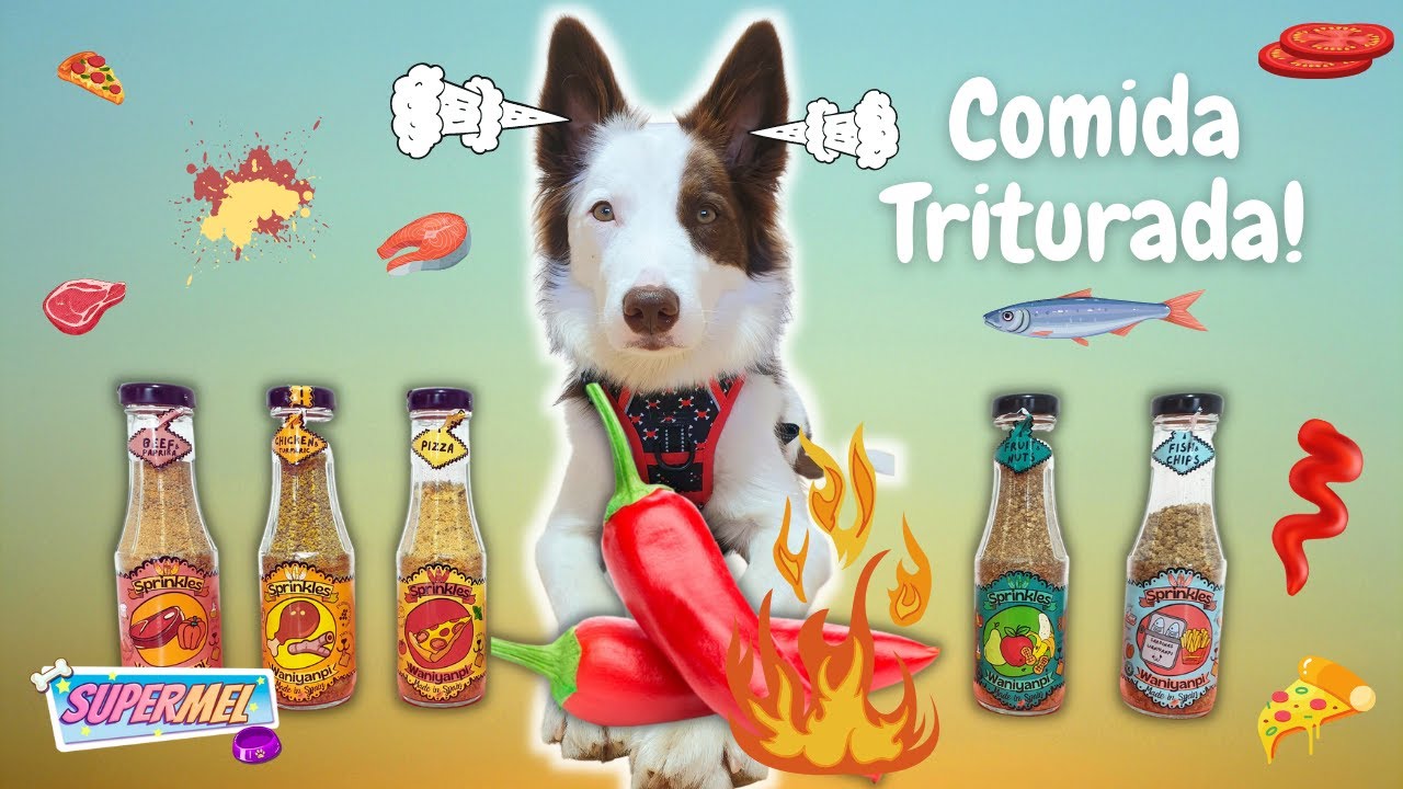 Reto de la COMIDA TRITURADA para PERROS 😳Mel