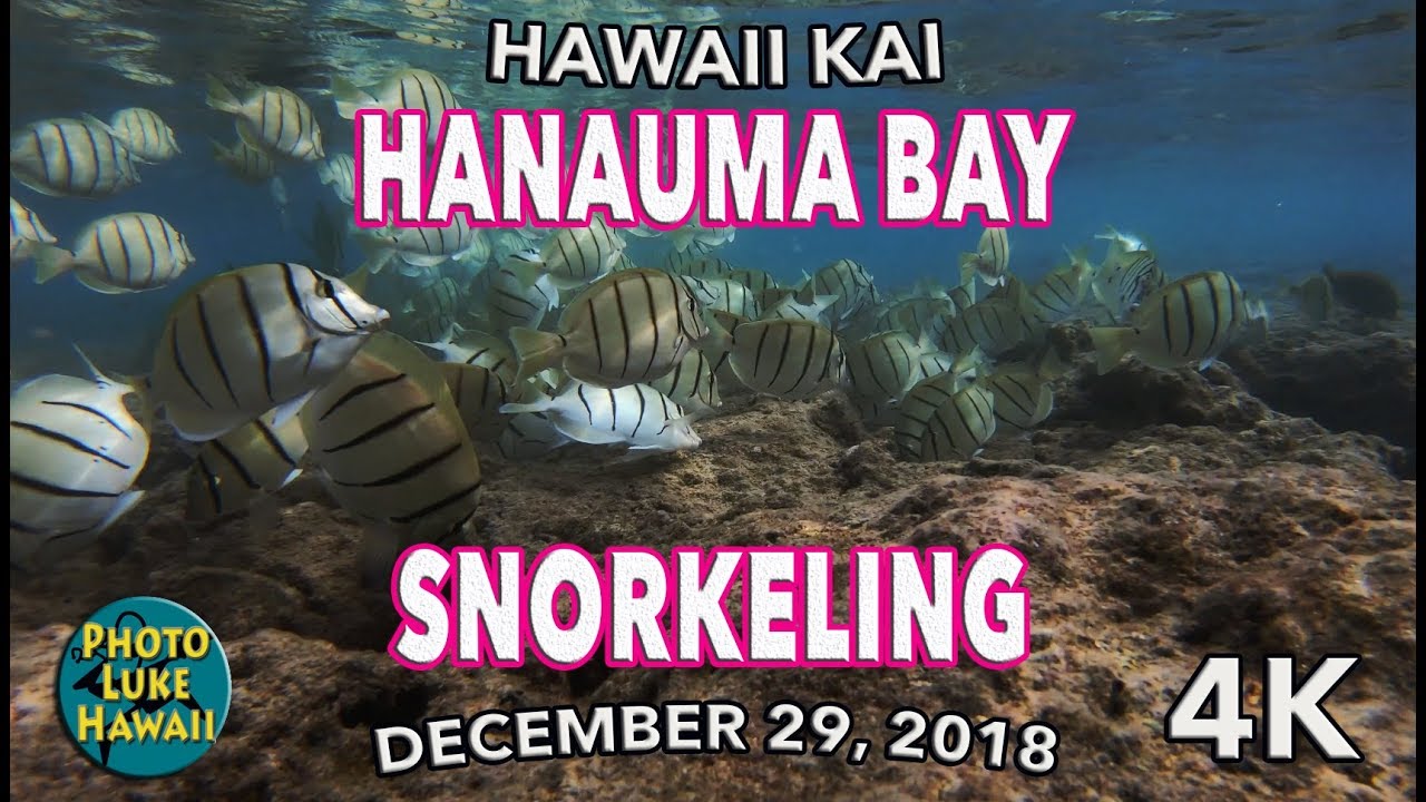 Hanauma Bay Snorkeling 12/29/2018