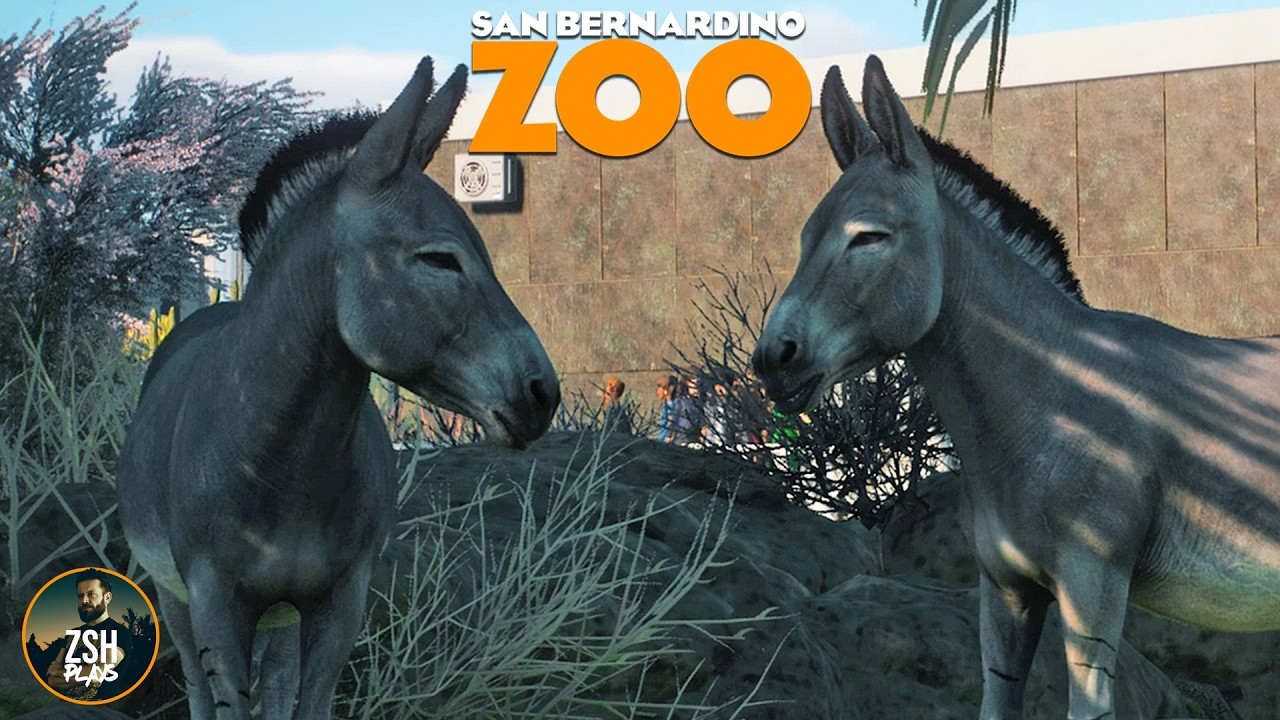 Opening an African Area in Franchise Mode! | San Bernardino Zoo | Planet Zoo