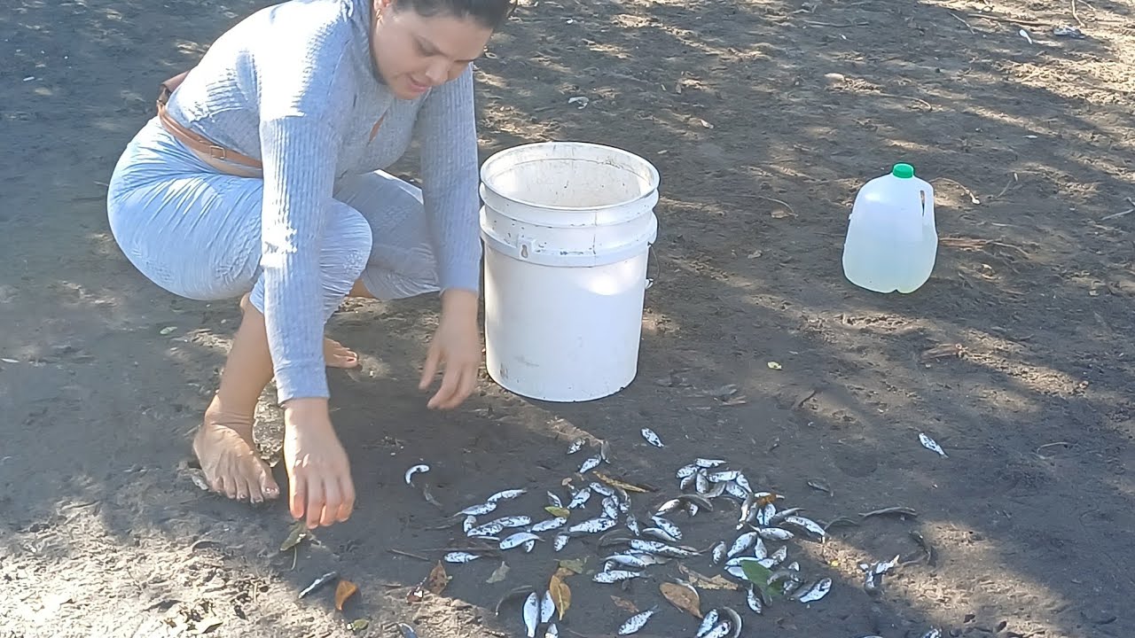 MIREN LA GRAN PESCA  QUE PESCAMOS EN EL RÍO 🐠🐟🐠🐠