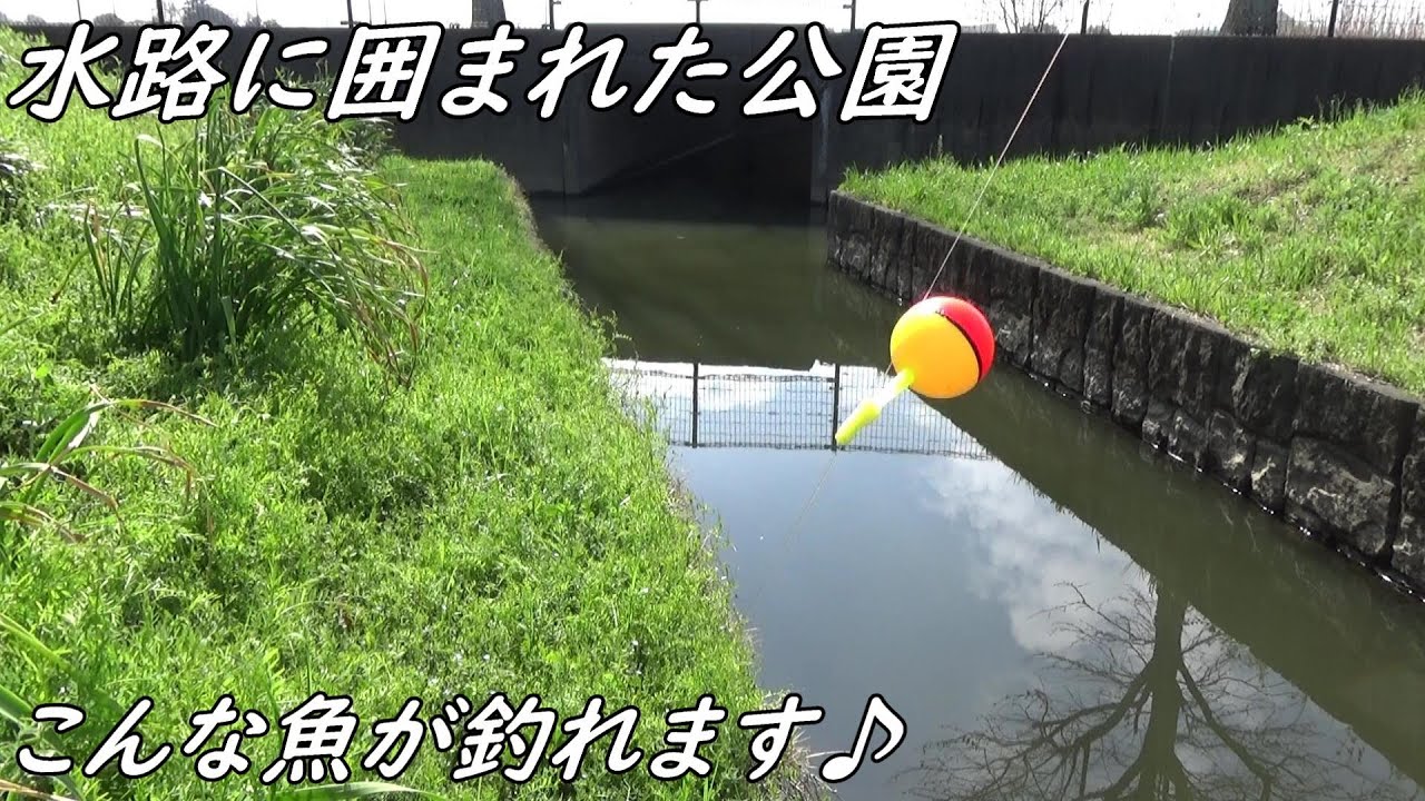 水路に囲まれた公園　川島町平成の森公園