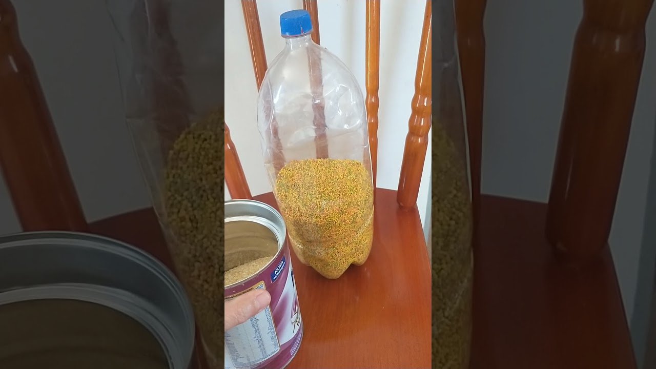 Sanhaço Frade