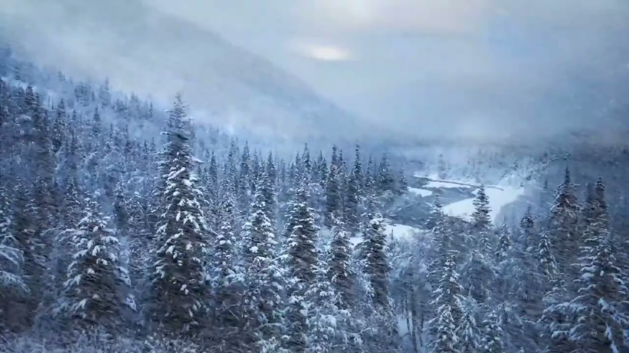 1 Hour Winter Storm Sounds ❄️ | Snow, Wind & Blizzard Ambience | Sleep & Relax