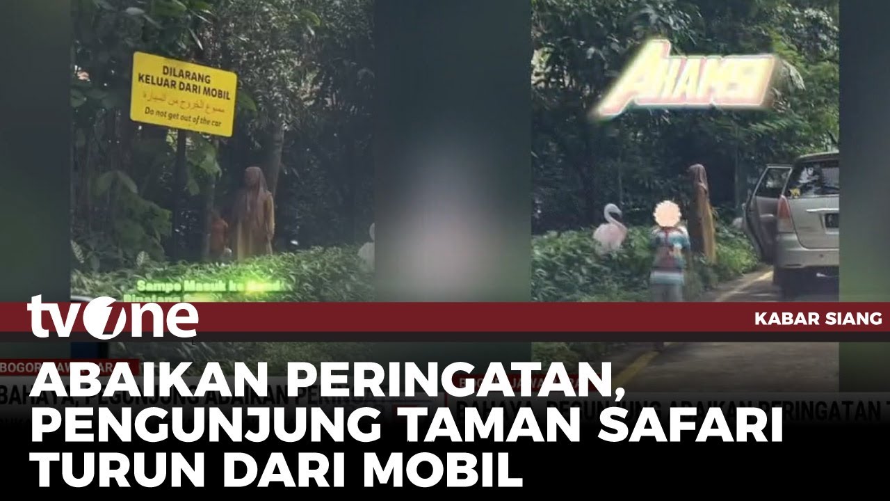 Bahaya Banget, Pengunjung Turun dari Kendaraan di Kawasan Hewan Buas Taman Safari | tvOne