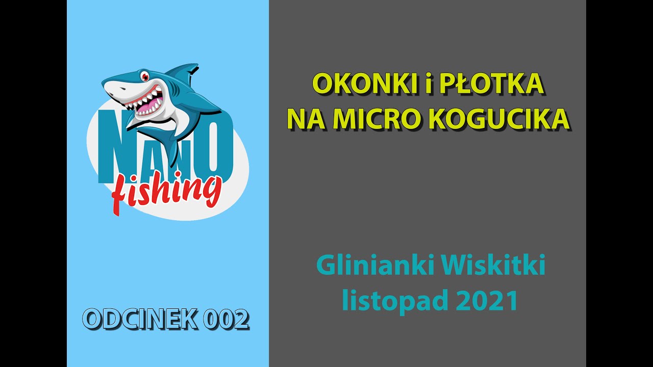 Okonki i płotka na micro kogucika #002