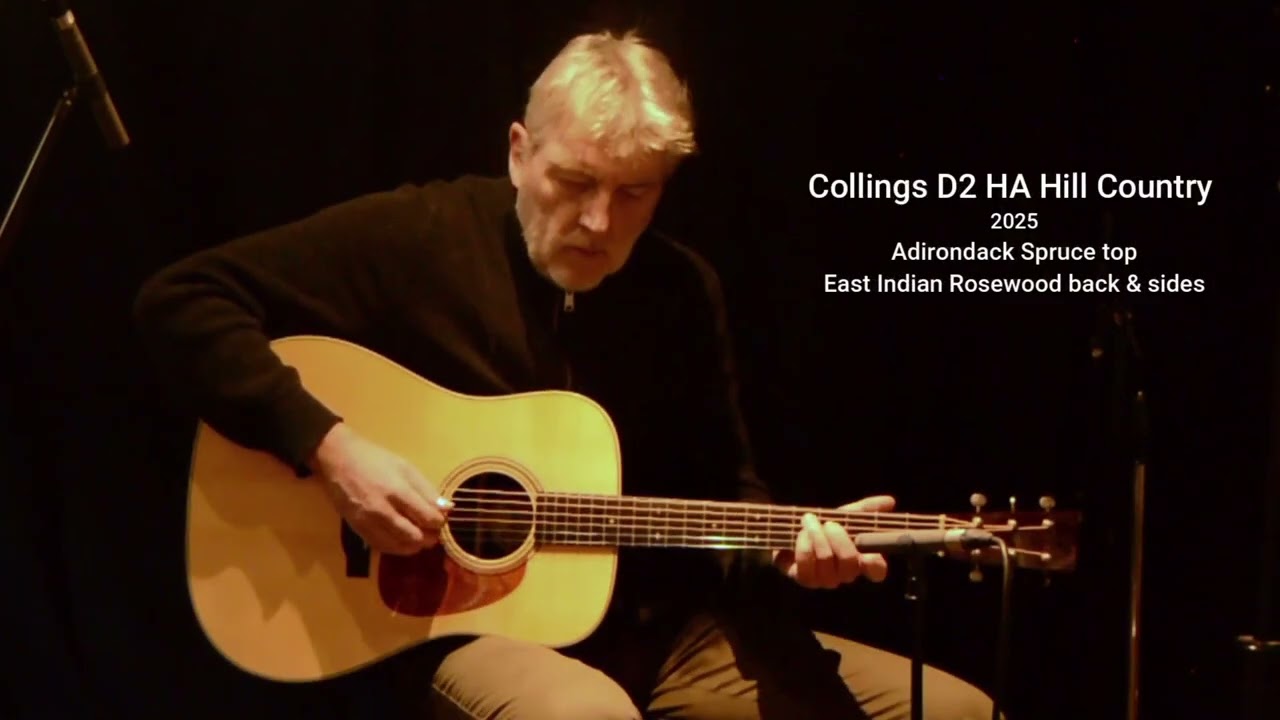 Collings D2HA Hill Country vs Blazer & Henkes D28