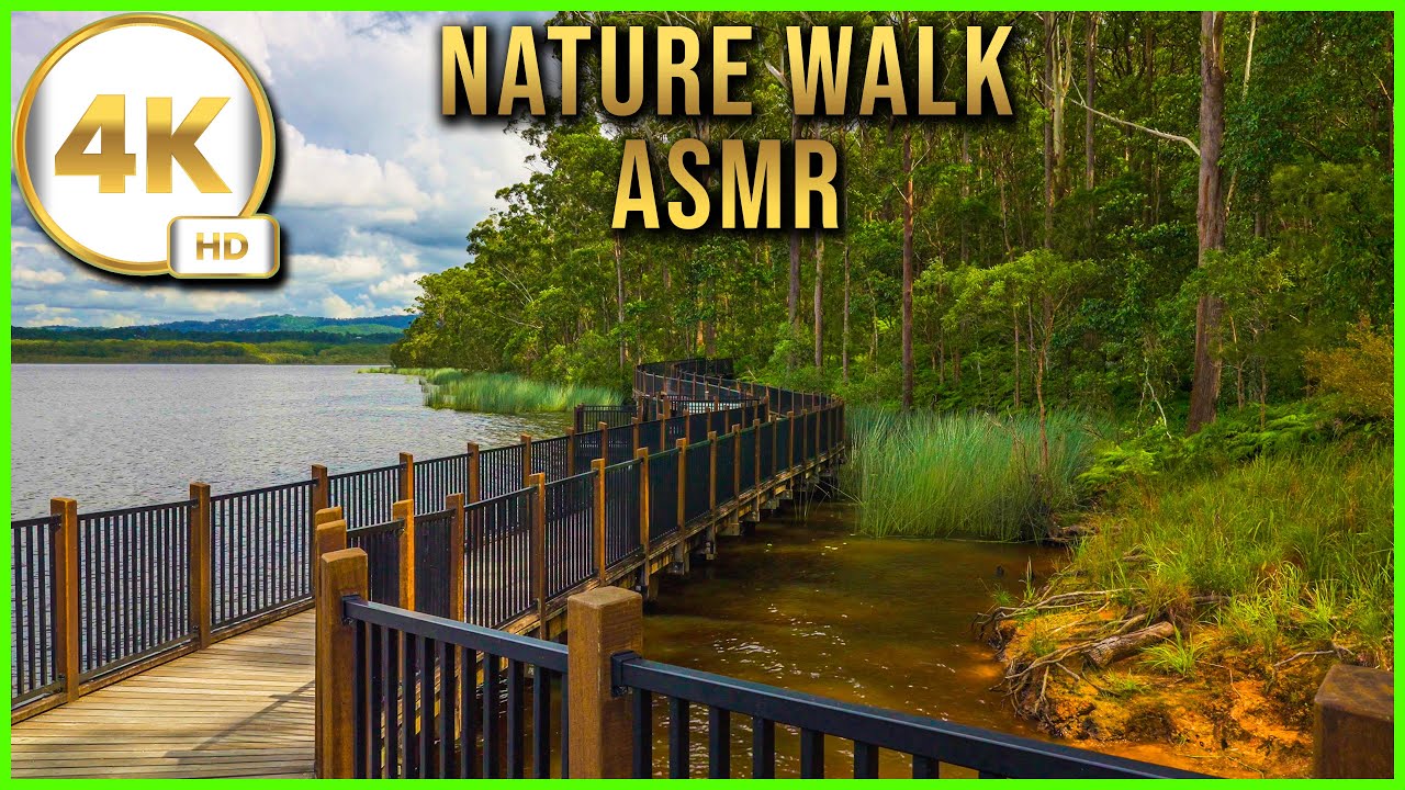 2 hour Nature ASMR for Sleep & Relaxation Ewan Maddock Dam