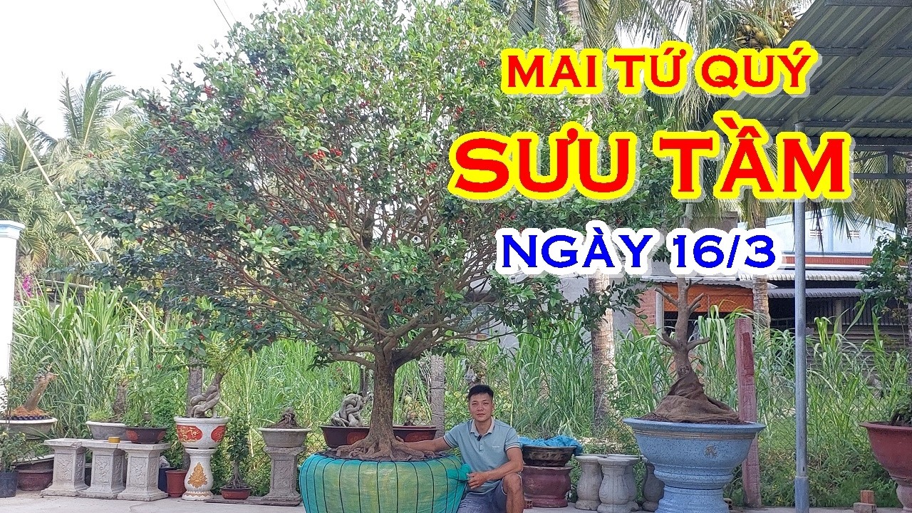 TÌNH 📲 O3538162I7 GIÁ TỐT - MAI TỨ QUÝ DÁNG ĐẸP GIAO LƯU NGÀY 16/3  