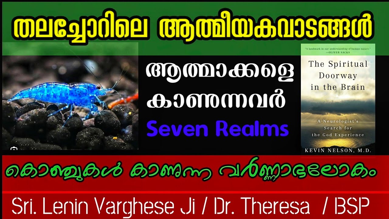 സത്യത്തിലേക്കുള്ള വാതിൽ തലച്ചോറിൽ ഉണ്ട് l ആത്മാക്കളെ കാണാൻ കഴിയുന്നവർ l Seven Realms l അത്ഭുതകൊഞ്ച്