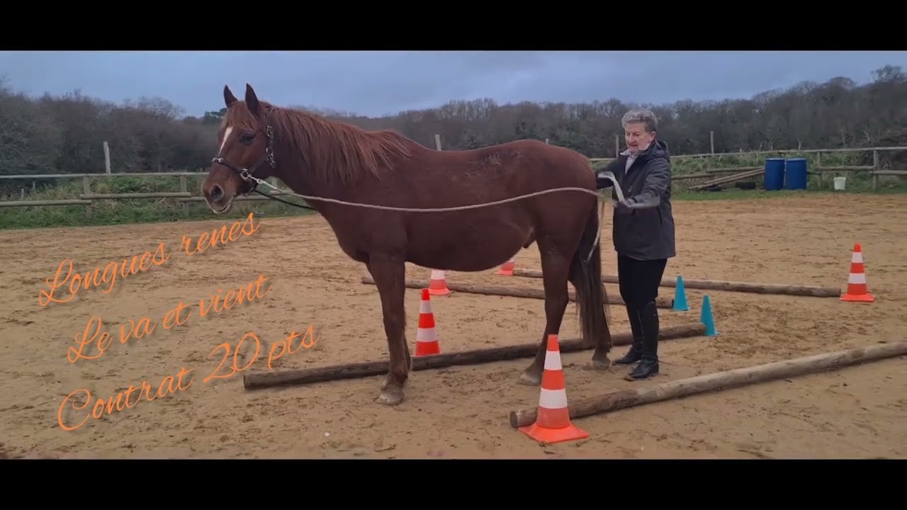 Equifeel Caval Go 2024 : Epreuve LR Mireille & Pyrus / manche 1