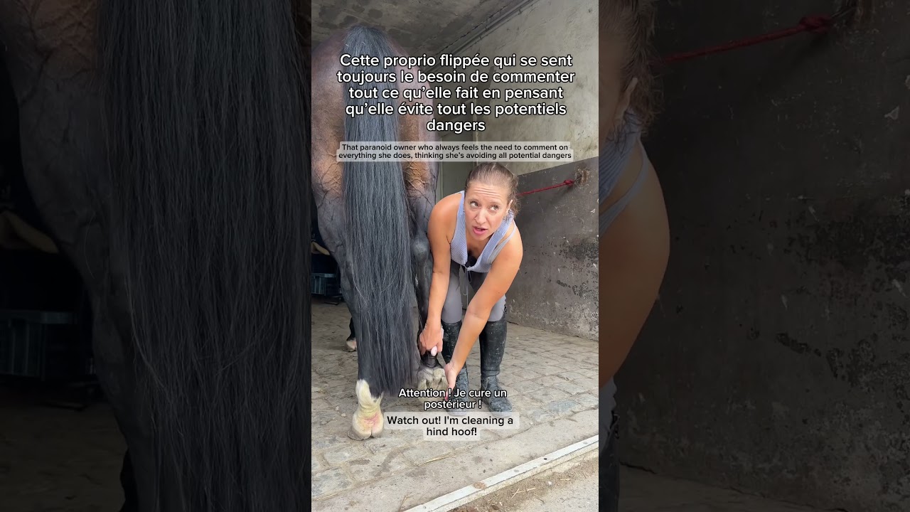 Attention je loooonge #entresesoreilles #cheval #humour #equitation #shortswithzita #shorts