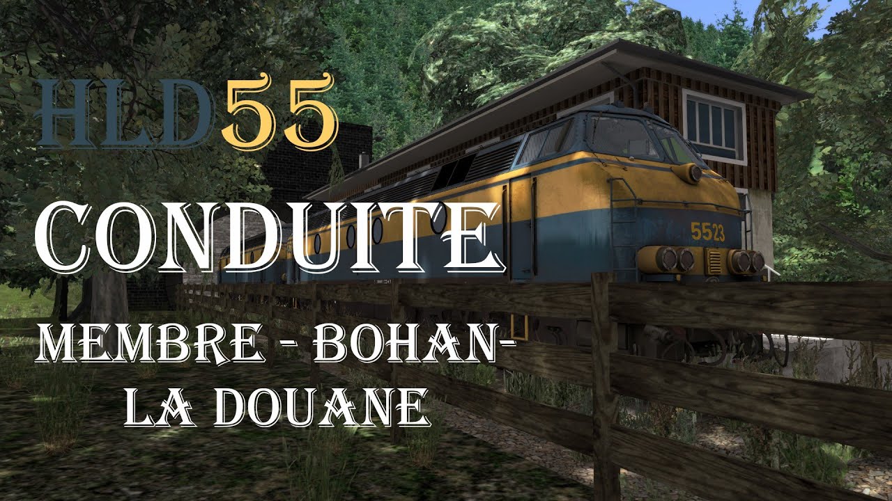 [Conduite] - La HLD55 (Version Bleu) de SKTrains