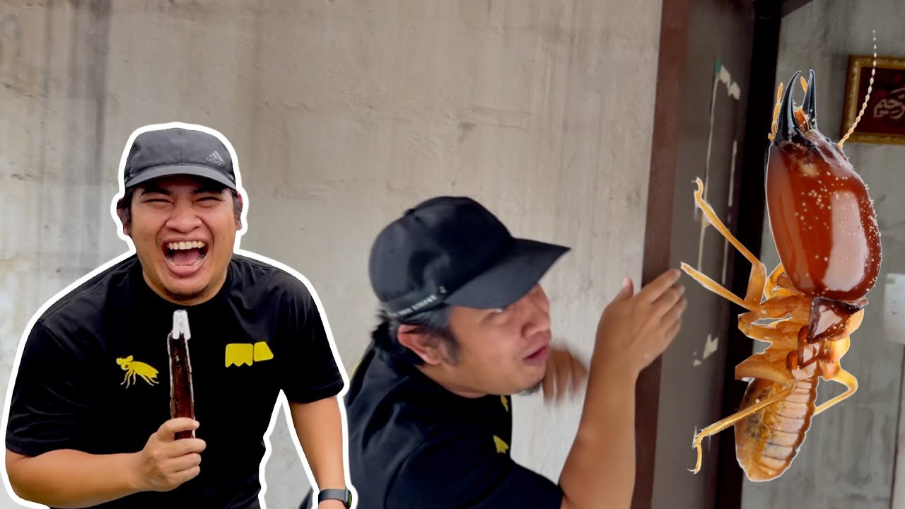 Rumah Ni Kena Ratah dengan Anai-Anai